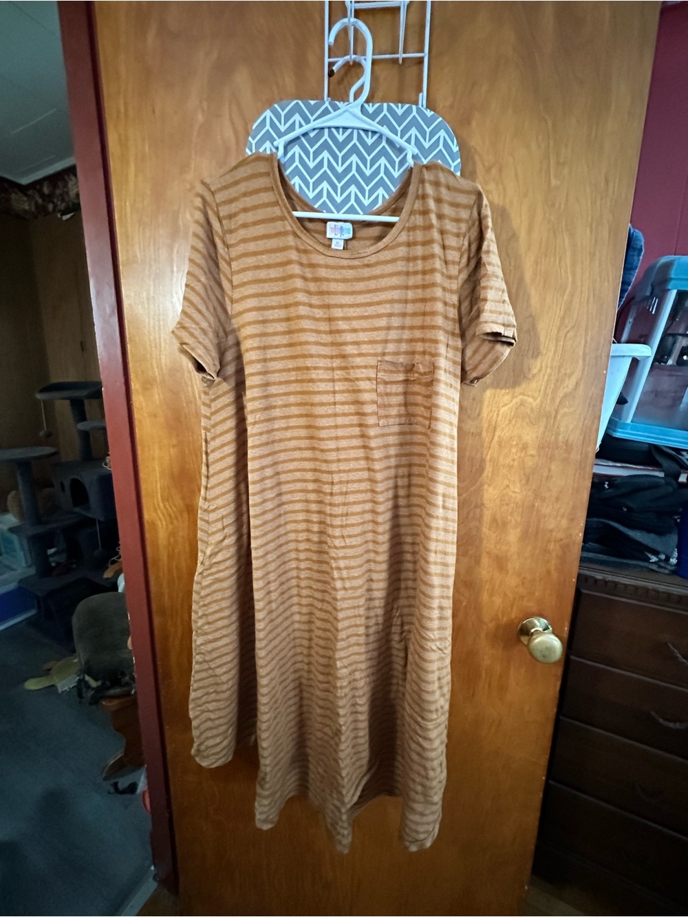 LuLaRoe Carly Dress